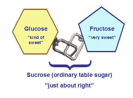 fructose glucose